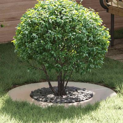 VidaXL Geschikt voor platte boomringen 5 pcs zilver ø40 / 70 cm