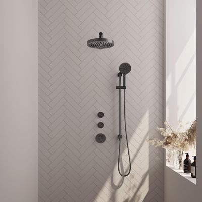 BRAUER Stripe Thermostatische Inbouw Regendouche - SET 10 - 25cm douchekop - rechte muurarm - 3-standen handdouche - doucheslang - geïntegreerde glijstang - gunmetal geborsteld PVD 5-GM-383