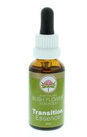 Transition essence