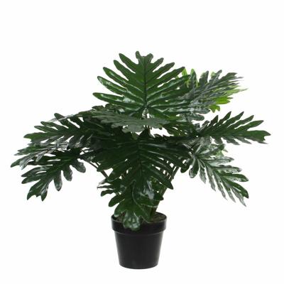 Mica Decorations Philondendron kunstplant - 60 cm - groen - onderhoudsarm - inclusief pot Mica Decorations Philondendron kunstplant - 60 cm - groen - onderhoudsarm - inclusief pot