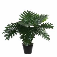 Mica Decorations Philondendron kunstplant - 60 cm - groen - onderhoudsarm - inclusief pot