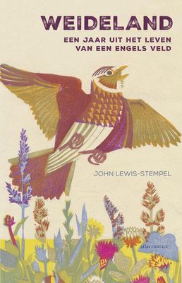 Weideland - John Lewis-Stempel - eBook (9789045037011)