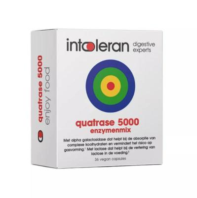 Intoleran Quatrase