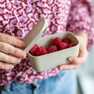 Koziol - Lunchbox, Klein, Lekvrij, Organic, Zand Beige - Koziol Candy S