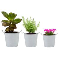 Emmer/plantenpot/bloempot - set van 3x stuks - zink - whitewash - thumbnail