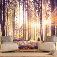 Zelfklevend fotobehang -   Namiddag in een bos , Premium Print - thumbnail