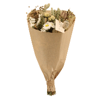 Droogbloemen Field Bouquet Natural - Ø25cm - ↕60cm - Ø15 - ↨35cm