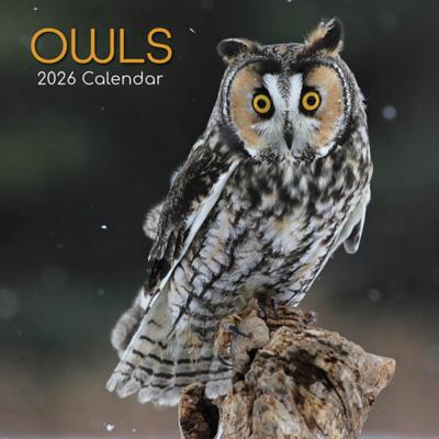 Uilen Kalender 2026