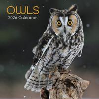 Uilen Kalender 2026