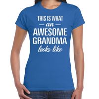 Awesome grandma / oma cadeau t-shirt blauw dames - thumbnail