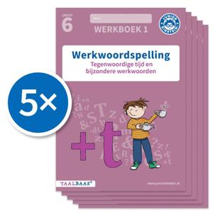 Werkwoordspelling werkboek 1 groep 6 (Set van 5) (Paperback)