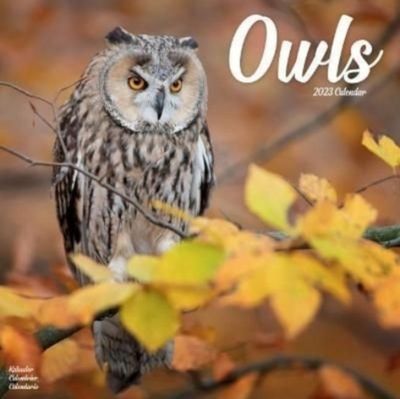 Kalender - 2023 Owls - Kalender (9781839418112) Kalender - 2023 Owls - Kalender (9781839418112)