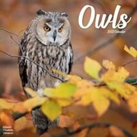 Kalender - 2023 Owls - Kalender (9781839418112) - thumbnail