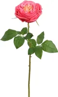 Pure Royal kunsttak roos 52cm roze