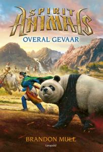 Overal gevaar (Hardback)
