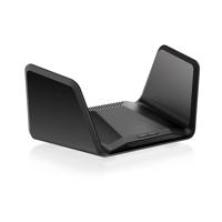 Netgear RAXE300-100EUS Router Zwart