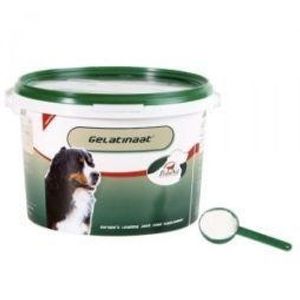 Gelatinaat hond