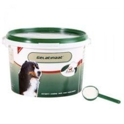 Gelatinaat hond