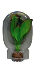 Superfish easy plant laag 13 cm nr. 2 - Superfish