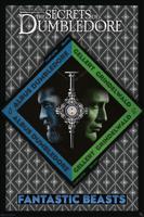 Poster Fantastic Beasts - Dumbledore vs Grindelwald 61x91,5cm