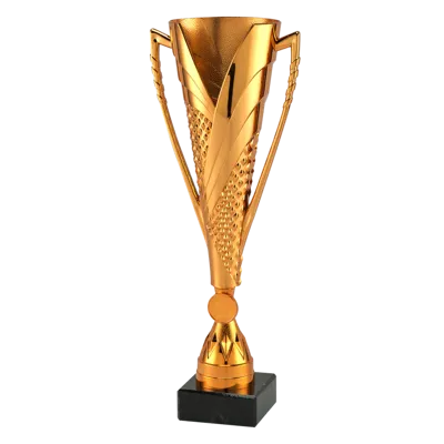 Sportprijzen Leiden Sportprijs ET.448 Brons Sportprijzen Leiden Sportprijs ET.448 Brons