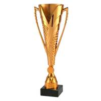 Sportprijzen Leiden Sportprijs ET.448 Brons