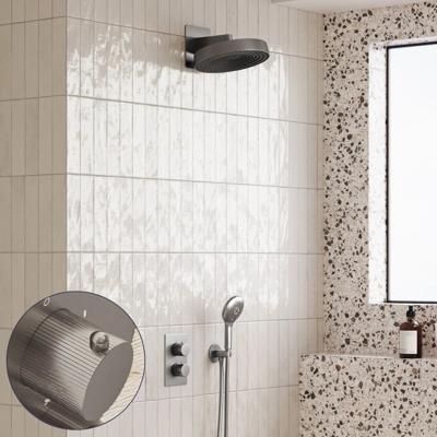 Regendouche set SaniClear Evolution Stripes | 30 cm | Incl.Inbouwdeel | 2 standen handdouche | RVS