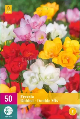 Bloembollen Freesia Dubbel Mix 50st Bloembollen Freesia Dubbel Mix 50st