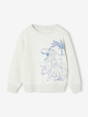 Fantasie sweater voor jongens gemêleerd wit