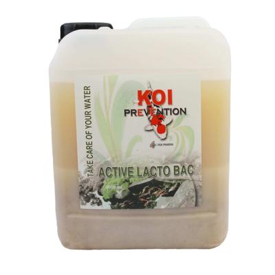 Fish Pharma Koi Prevention Lacto Bac 5L - Probiotisch Vijver Concentraat voor Koi Vitaliteit