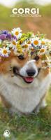 Welsh Corgi Slimline Kalender 2026