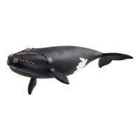 Schleich wild life noordkaper 14878 - thumbnail