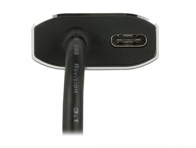 DeLOCK 62988 USB grafische adapter 4096 x 2160 Pixels Grijs
