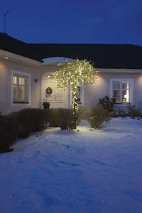 Konstsmide 3646-800 Micro-lichtketting Energielabel: F (A - G) Aantal lampen 600 Barnsteen Verlichte lengte: 41.93 m