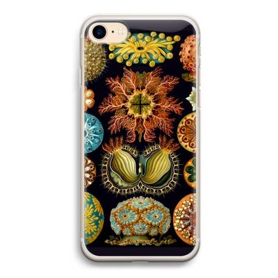 Haeckel Ascidiae: iPhone 7 Transparant Hoesje
