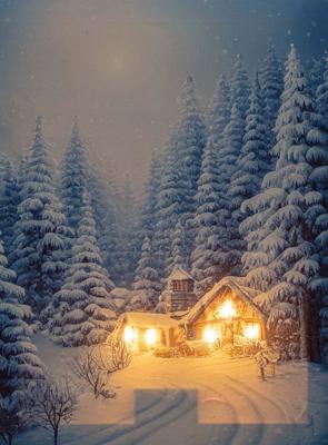 Canvas huis in sneeuw led 40x30 cm - Annas collection