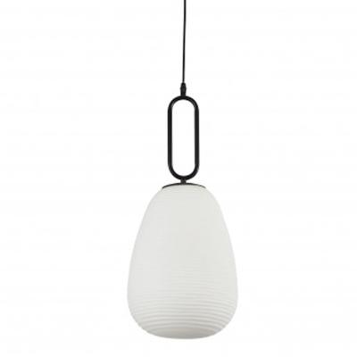 Searchlight Glazen hanglampElixir - 43581-1BK