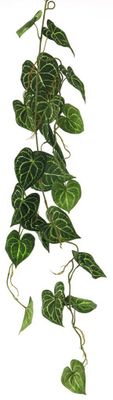 Scindapsus alba garland green 109cm