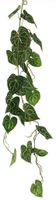 Scindapsus alba garland green 109cm