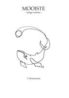 Mooiste - Lange roman (Paperback)