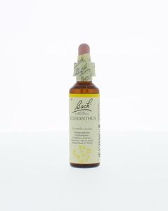 Scleranthus/hardbloem