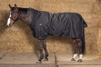 Harry's Horse Outdoordeken Thor 200 Highneck