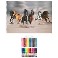 Schetsboek Paarden liefhebbers A4 50 paginas met 50 viltstiften - Schetsboeken - thumbnail