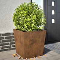 VidaXL Plantenbakken 2 st 50x50x50 cm weervast staal