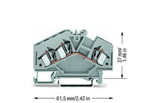 WAGO 281-631 Doorgangsklem 6 mm Spanveer Toewijzing: L Grijs 100 stuk(s)