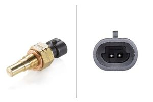 Temperatuursensor 6PT009107271