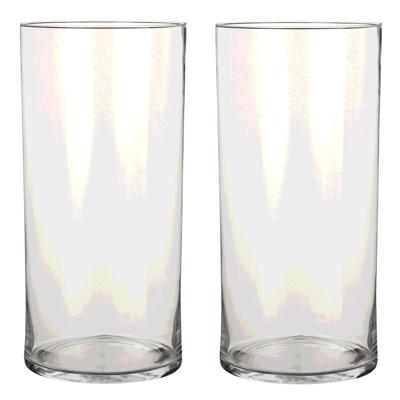 Mica Decorations Vaas - 2x - cilinder - helder glas - D19 x H40 cm - Bloemenvaas
