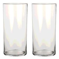 Mica Decorations Vaas - 2x - cilinder - helder glas - D19 x H40 cm - Bloemenvaas