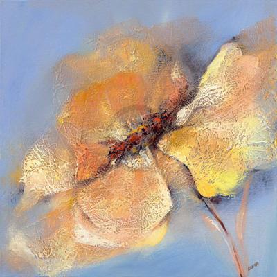 Kunstdruk Elena Filatov - Bright Anemone I 50x50cm