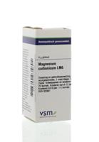 VSM Magnesium carbonicum LM6 (4 gr)
